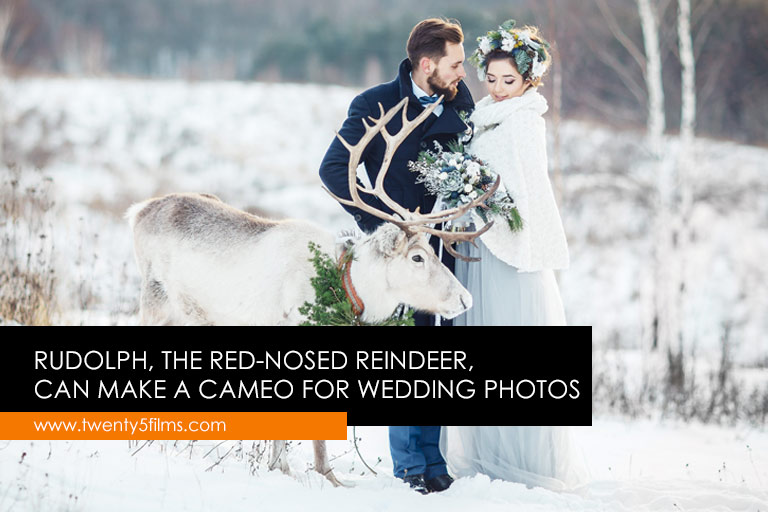 Rudolph, the red-nosed reindeer, can make a cameo for wedding photos